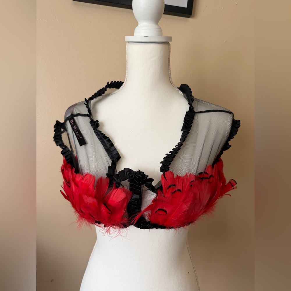 BE WICKED Black Red Feathers On Mesh Sexy Cropped Top O/S